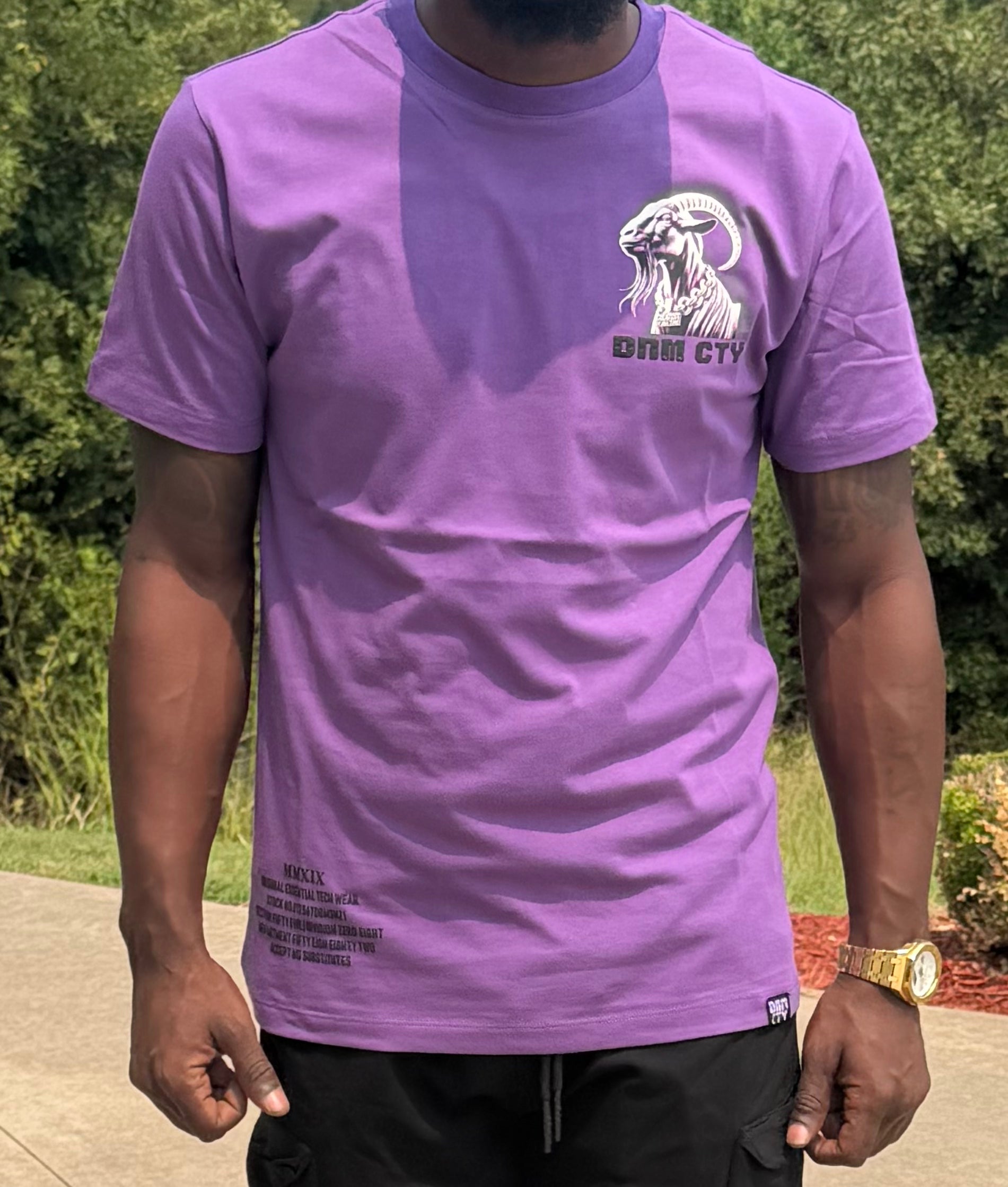 Denimicity GOAT Tee