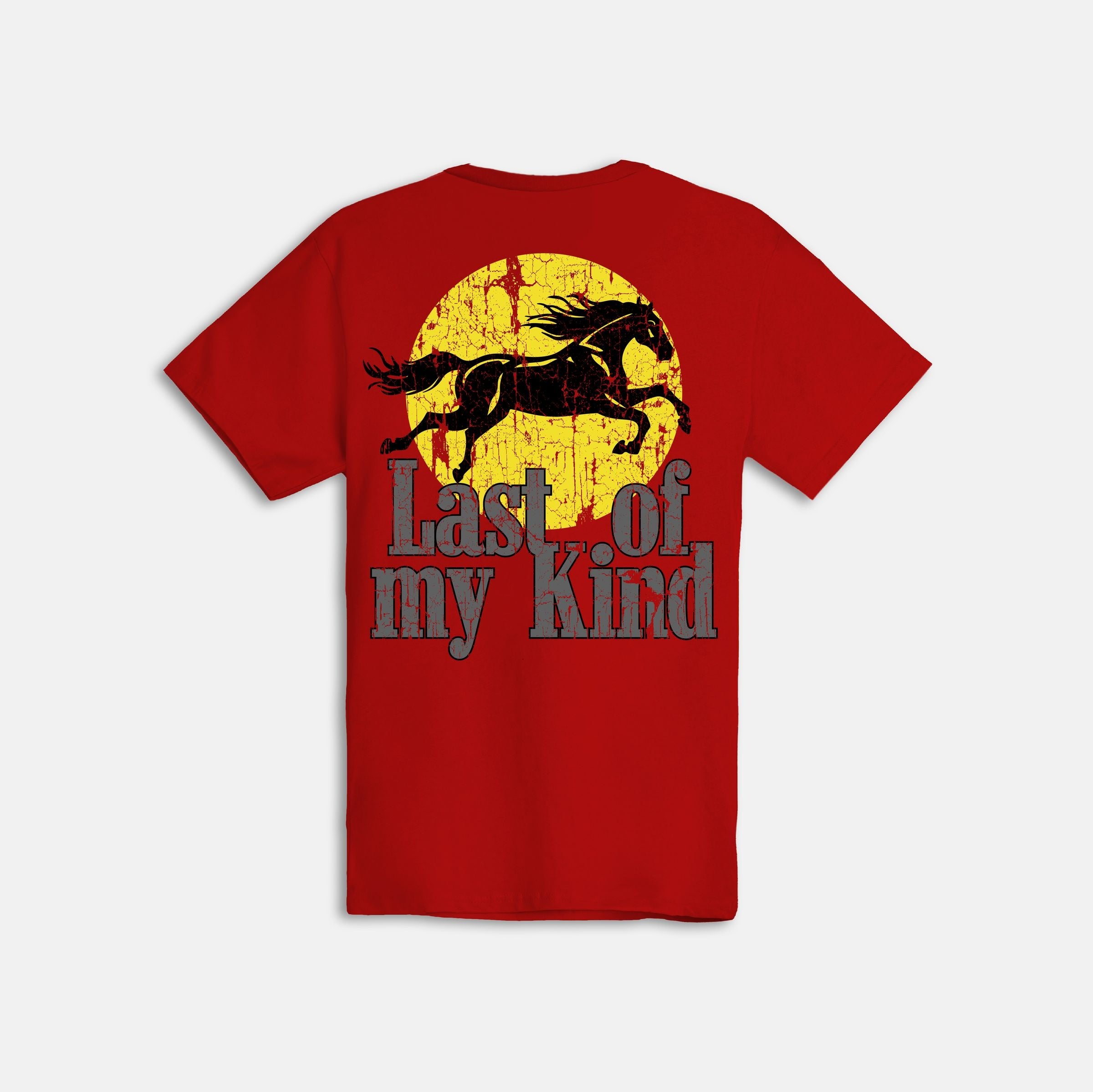 Last Of My Kind T-shirt (OR3196)