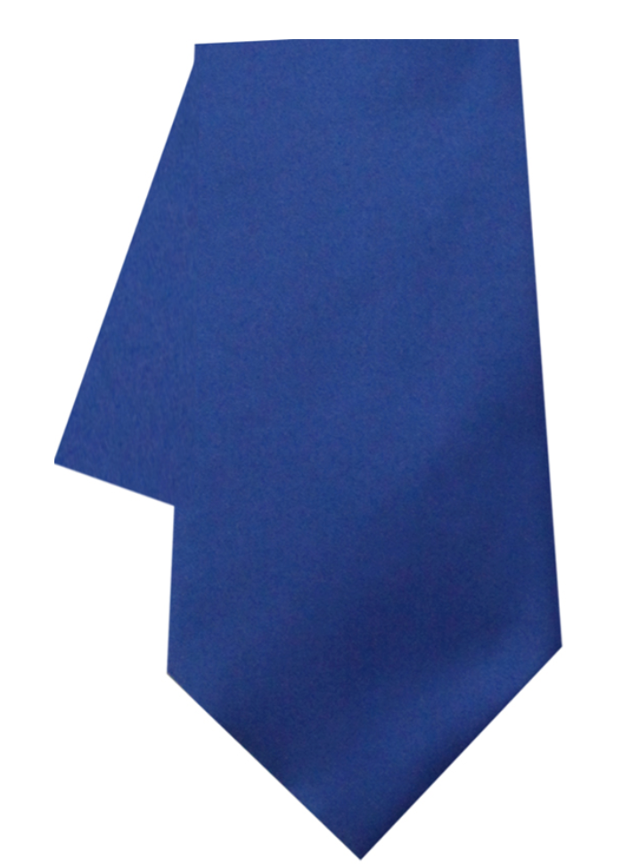 Solid Neck ties