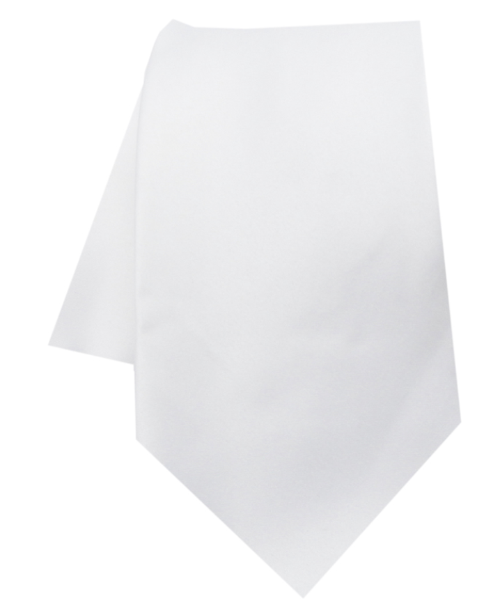 Solid Neck ties